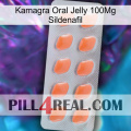 Kamagra Oral Jelly 100Mg Sildenafil 26